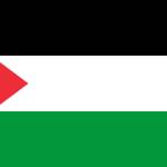 Free Palestine Profile Picture