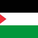 Free Palestine Profile Picture