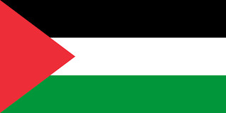 Free Palestine Profile Picture