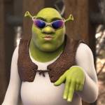 Kyle Najjar Profile Picture