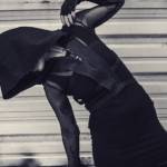 Angelique Moody profile picture