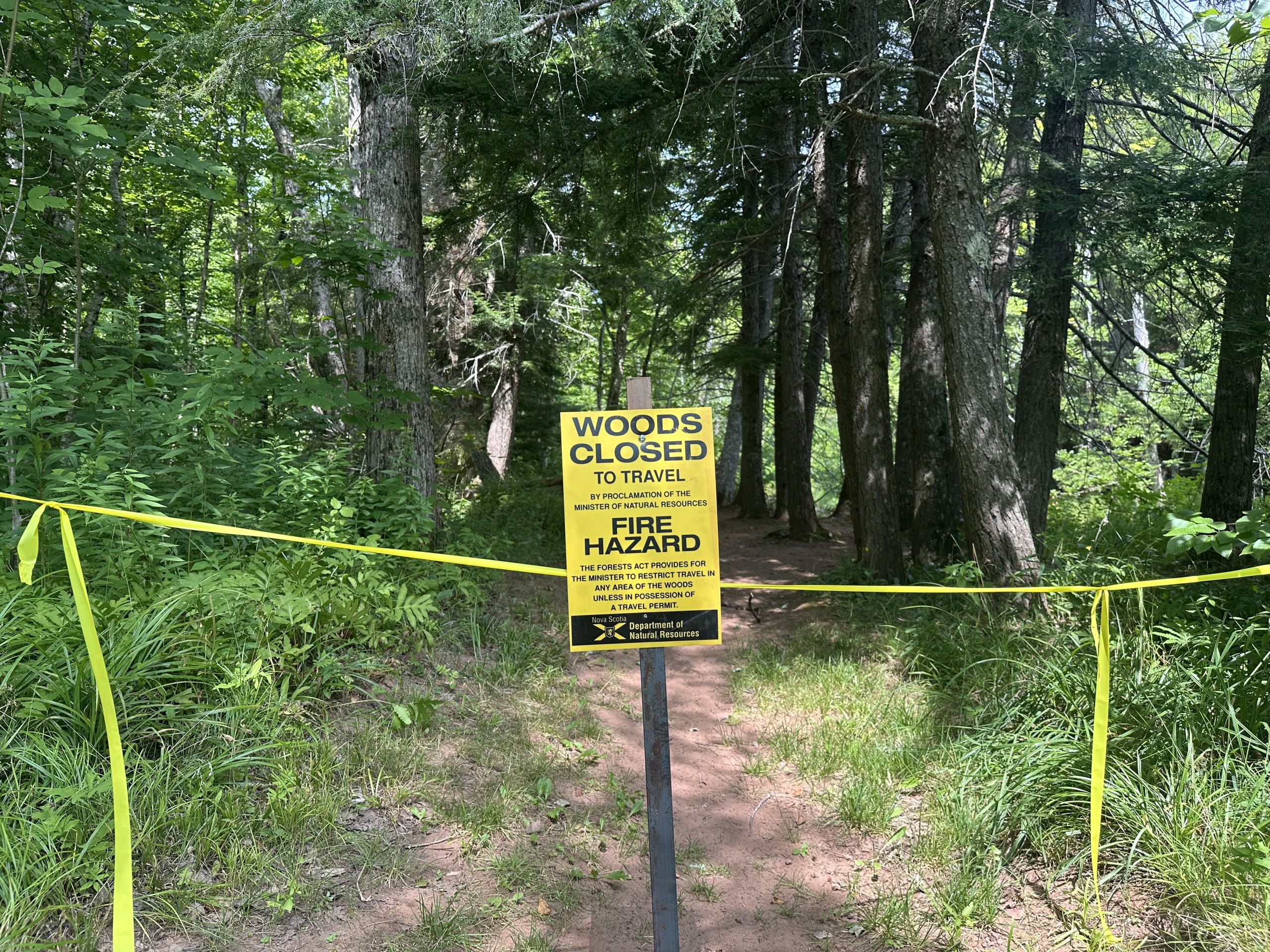 Nova Scotia approves glyphosate spraying on 3,577 acres of drought-stricken, fire-prone forest - Halifax Examiner
