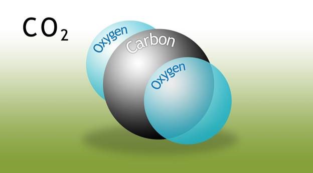 Carbon Dioxide: The Most Direct Measurement of Life and Health