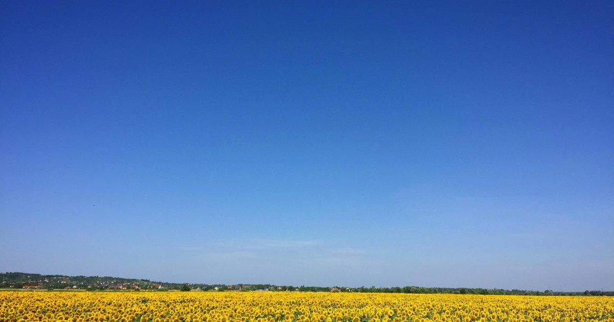 With The Government Shutdown, Have You Noticed The PERFECTLY Blue and Clear Skies? | WLT Report