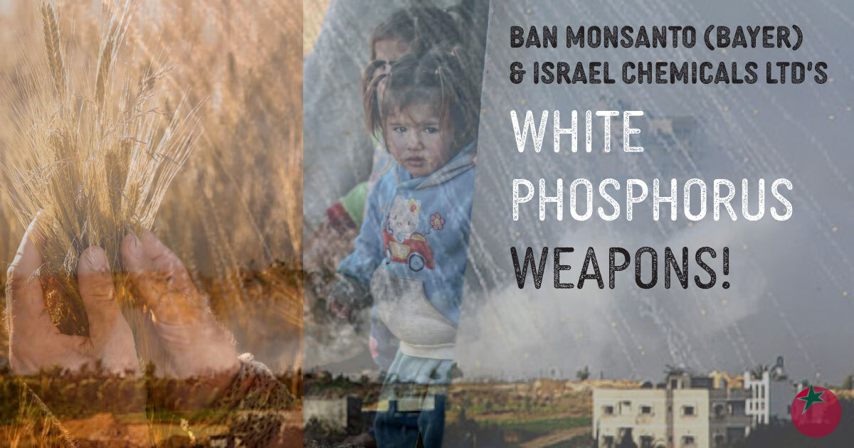 Ban Monsanto (Bayer) amp;amp;amp; Israel Chemicals Limited's White Phosphorus Weapons | Organic Consumers
