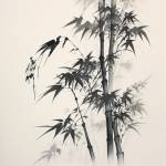 qhpreform mould profile picture