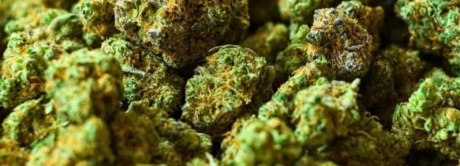 Dabinn and Relaxing Cover Image