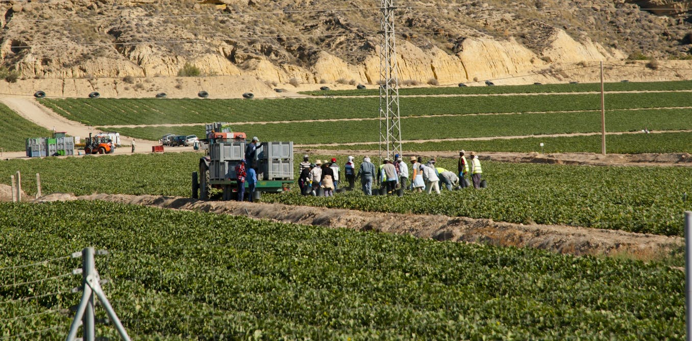 Spain’s mass regularisation for 500,000 undocumented migrants is not extreme, unprecedented or opportunistic