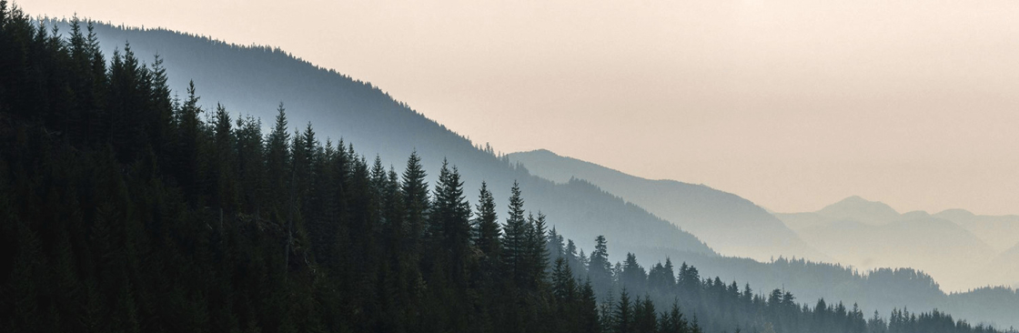 David V Kimball Cover Image