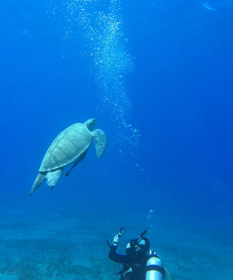 Island Activities - Mango and Chili Resort